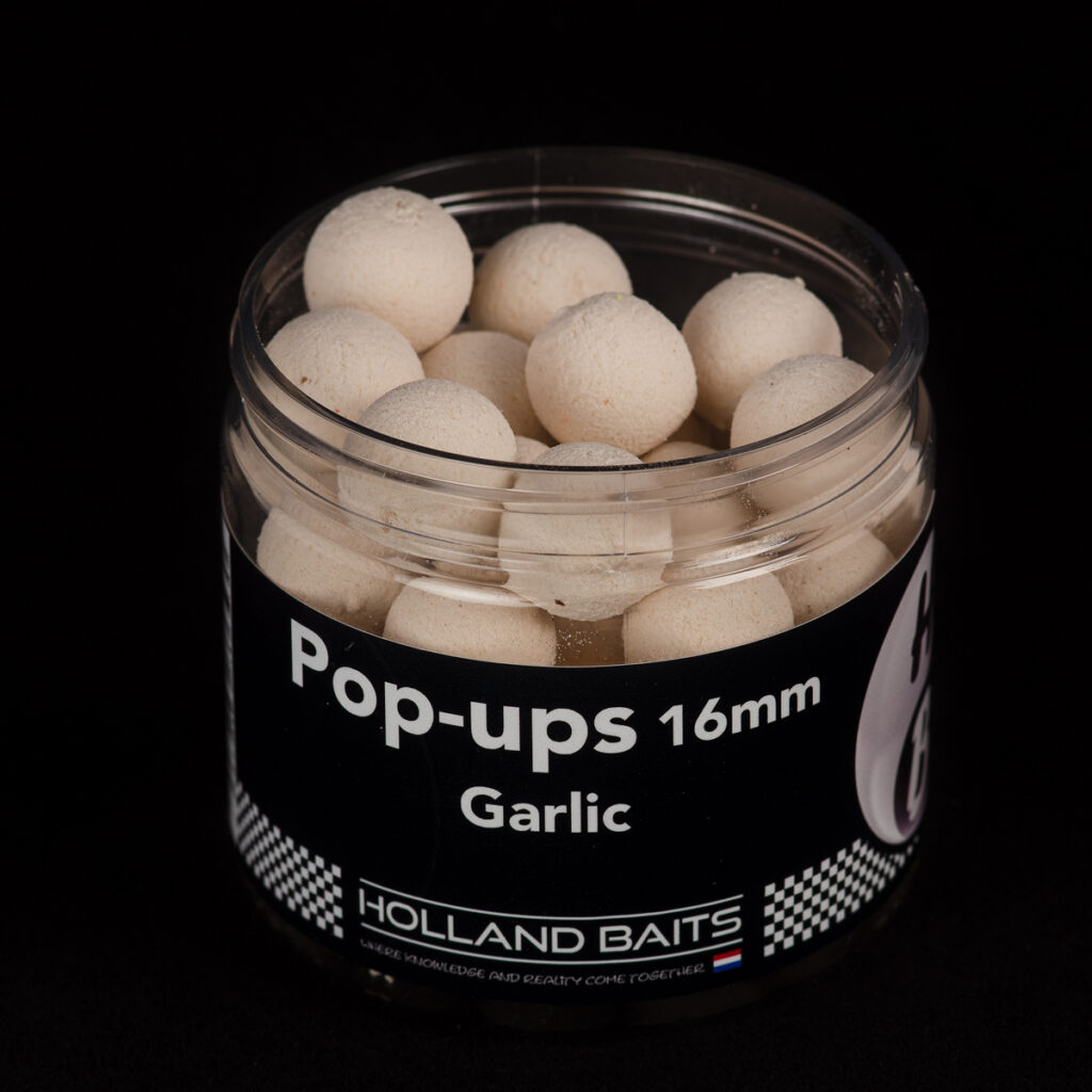 HB Pop-Up Crazy Red Squid